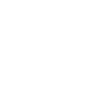 icons8-laptop-application-100